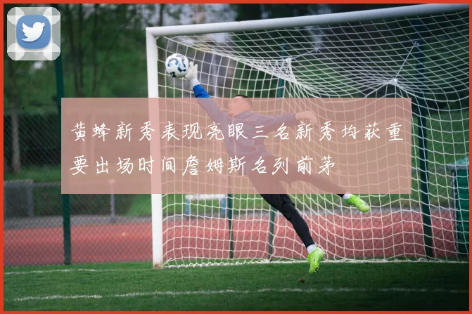 黄蜂新秀表现亮眼三名新秀均获重要出场时间詹姆斯名列前茅